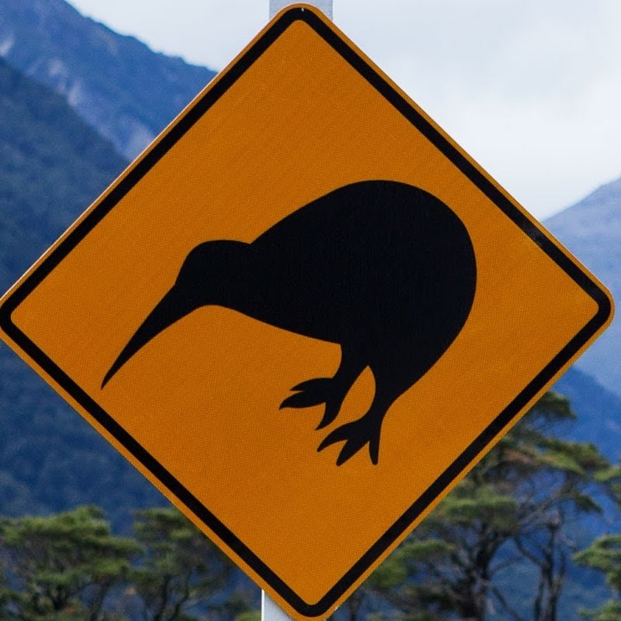 NZWildWings 
