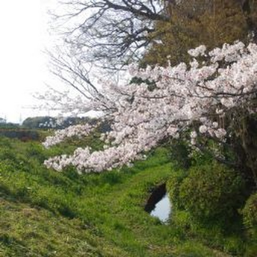 石井博之 Youtube