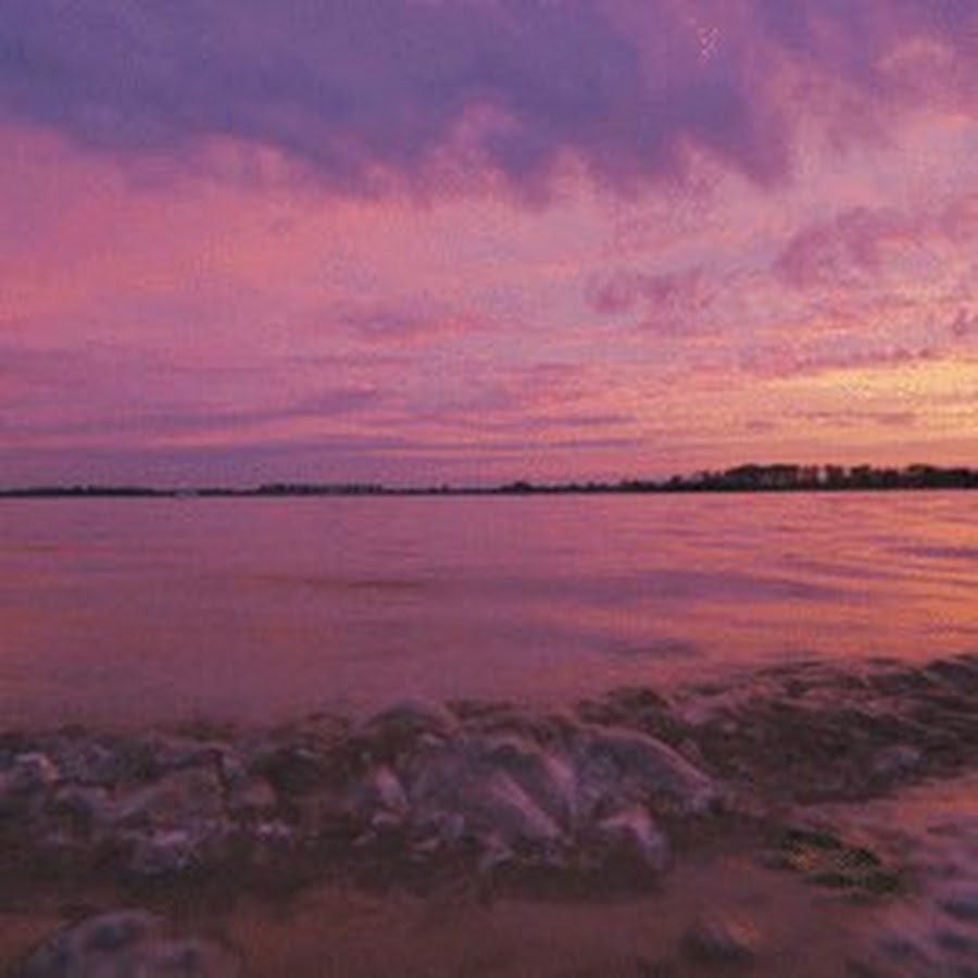 Sampul dari kanal Game Net di YouTube