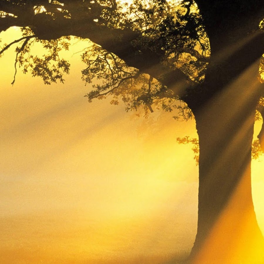 Ambient blues album. Видимое временно а невидимое вечно библия. Обои на телефон ambient. Видимое временно а невидимое вечно. Ambient soundscapes.