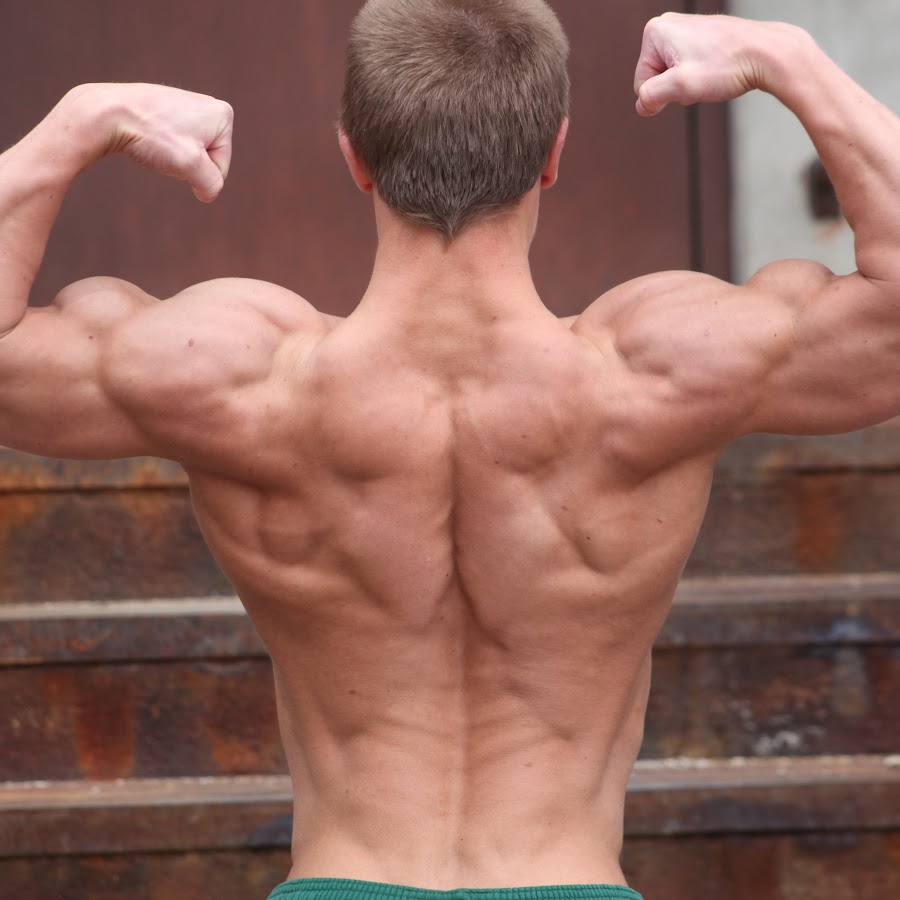 MUSCLE MUSCULO MUSKEL - YouTube