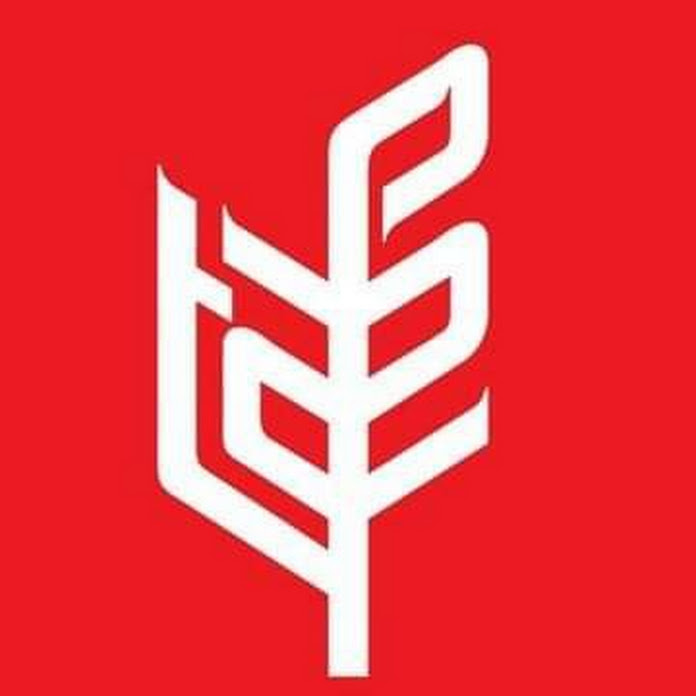 TAFECorporate Net Worth & Earnings (2026)