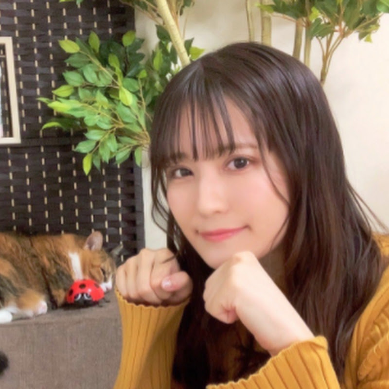 やみんちゃんねる ユーチューバーnext