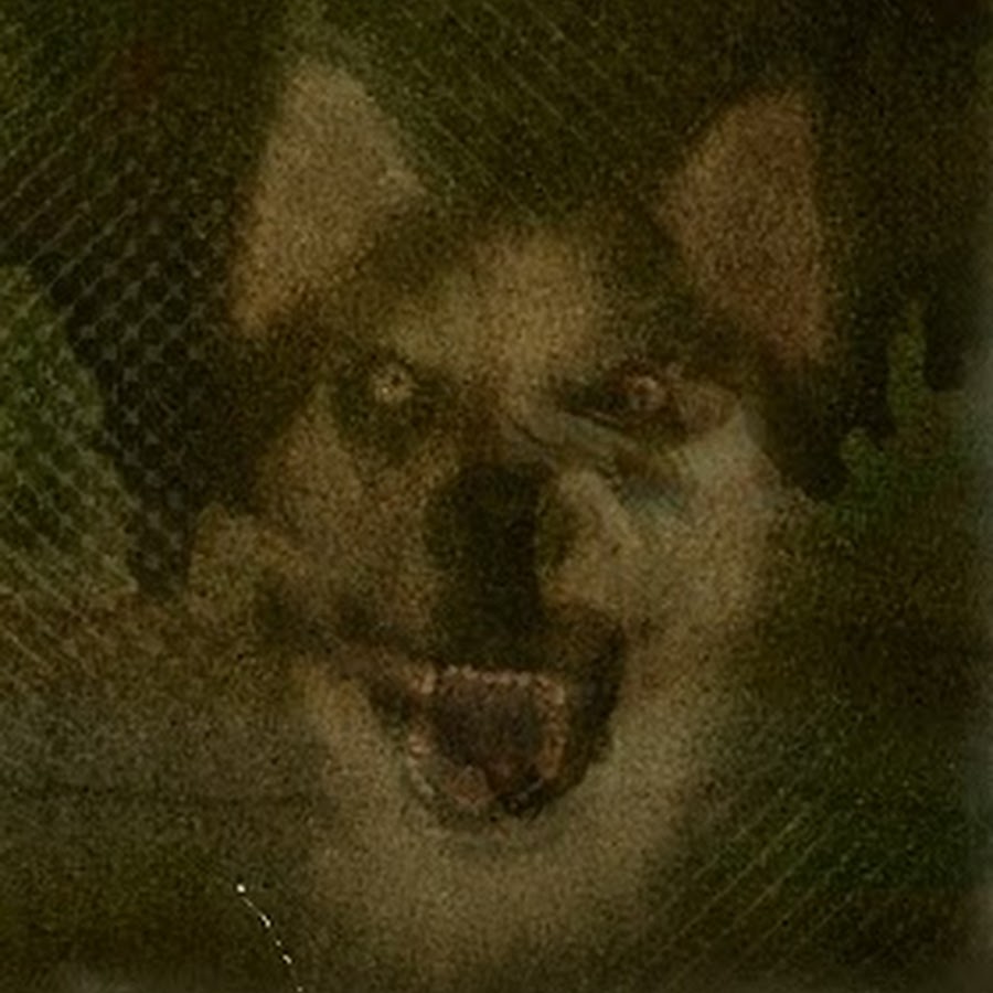 Smile dog хаски крипипаста. Собака улыбака крипипаста. Скример страшный смайл дог. Смайлик джи пи джи. Джипи жи.