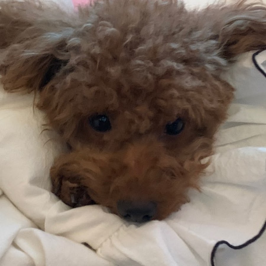 Princess귱 - YouTube