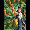 appleforeve
