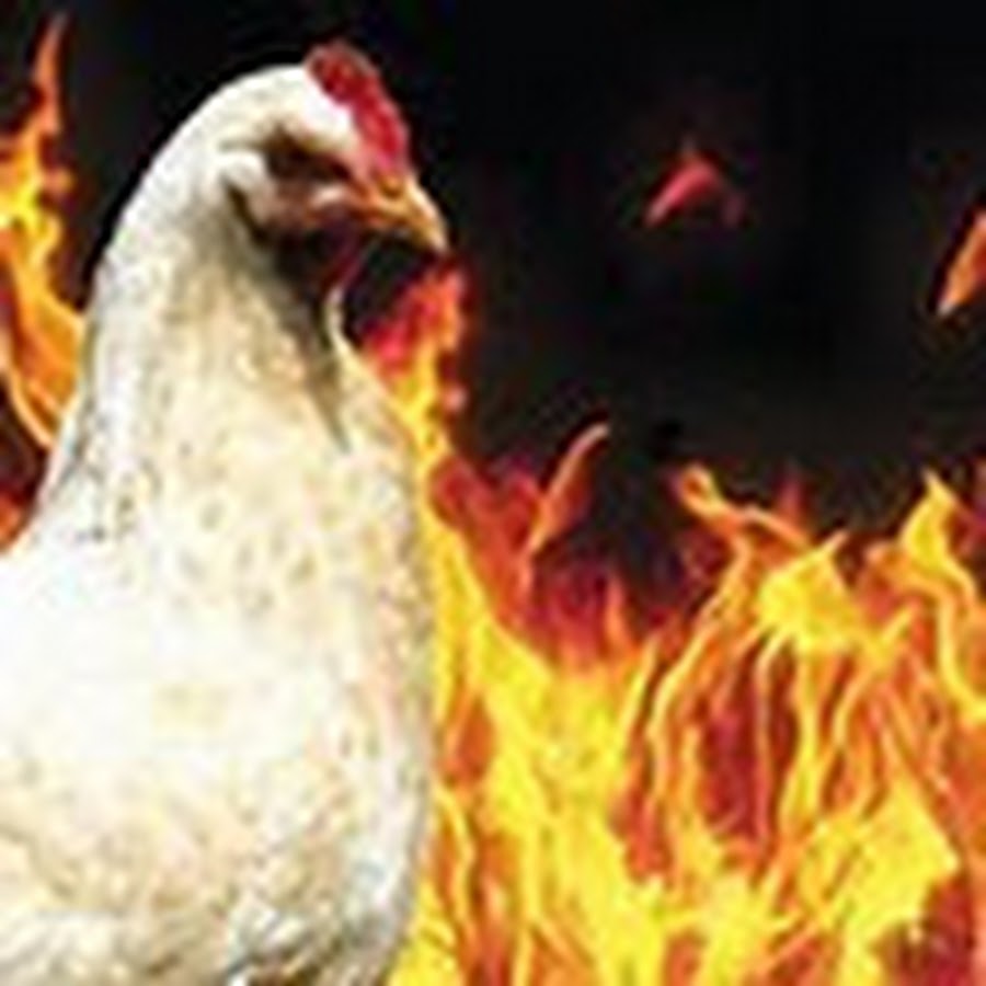 Chicken On Fire YouTube