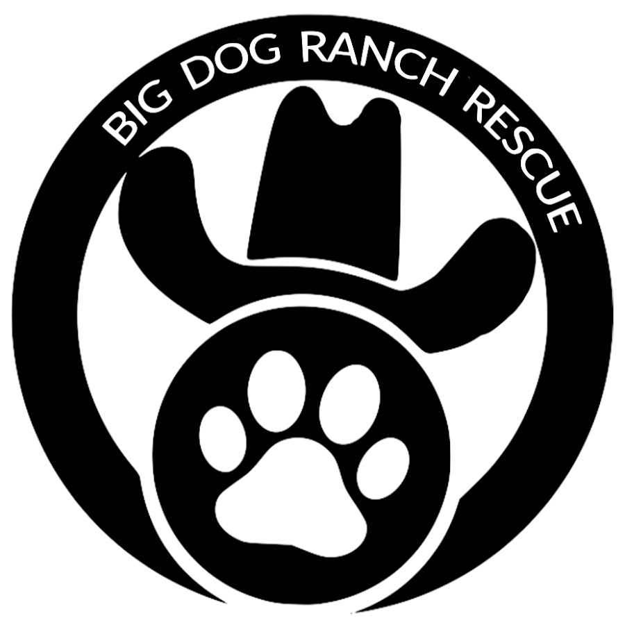 Big Dog Ranch Rescue YouTube