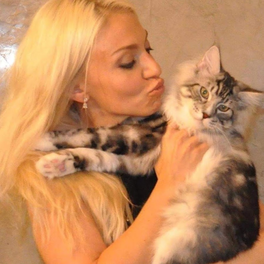 EuroCoons Maine Coon Cattery European Maine Coon Breeder YouTube