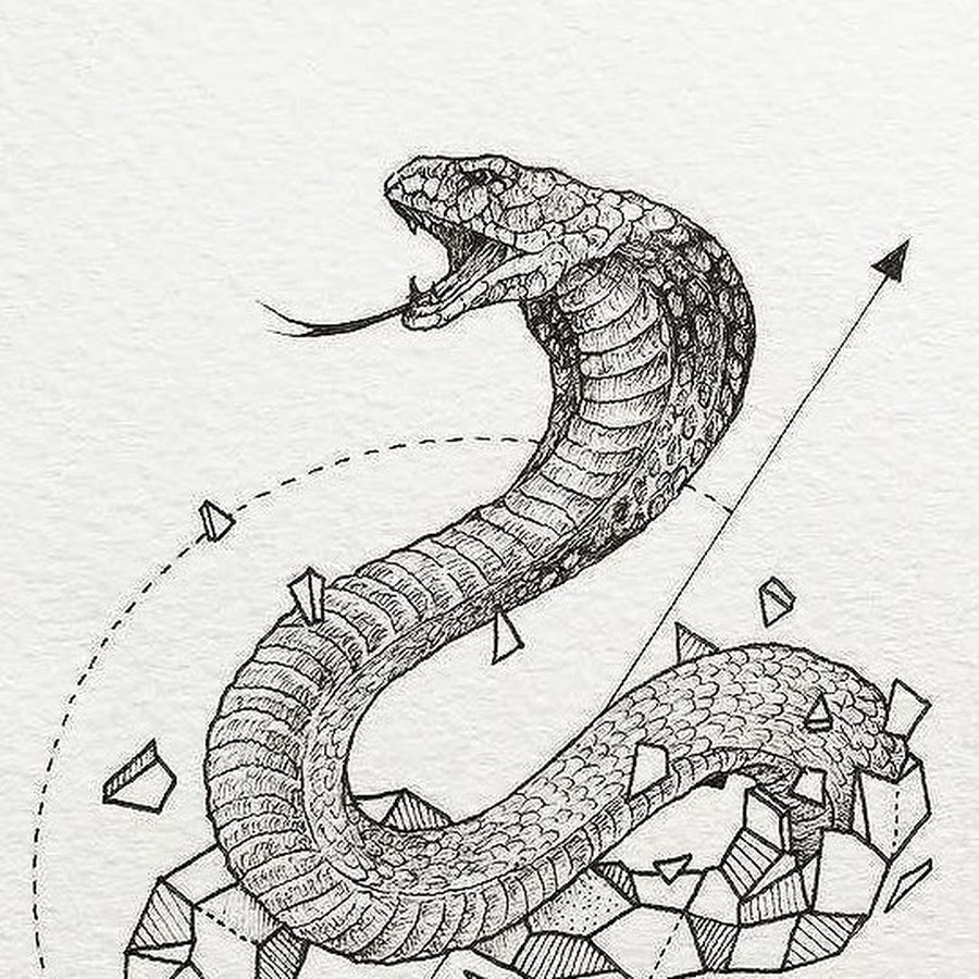 Тату эскиз змея с открытой пастью