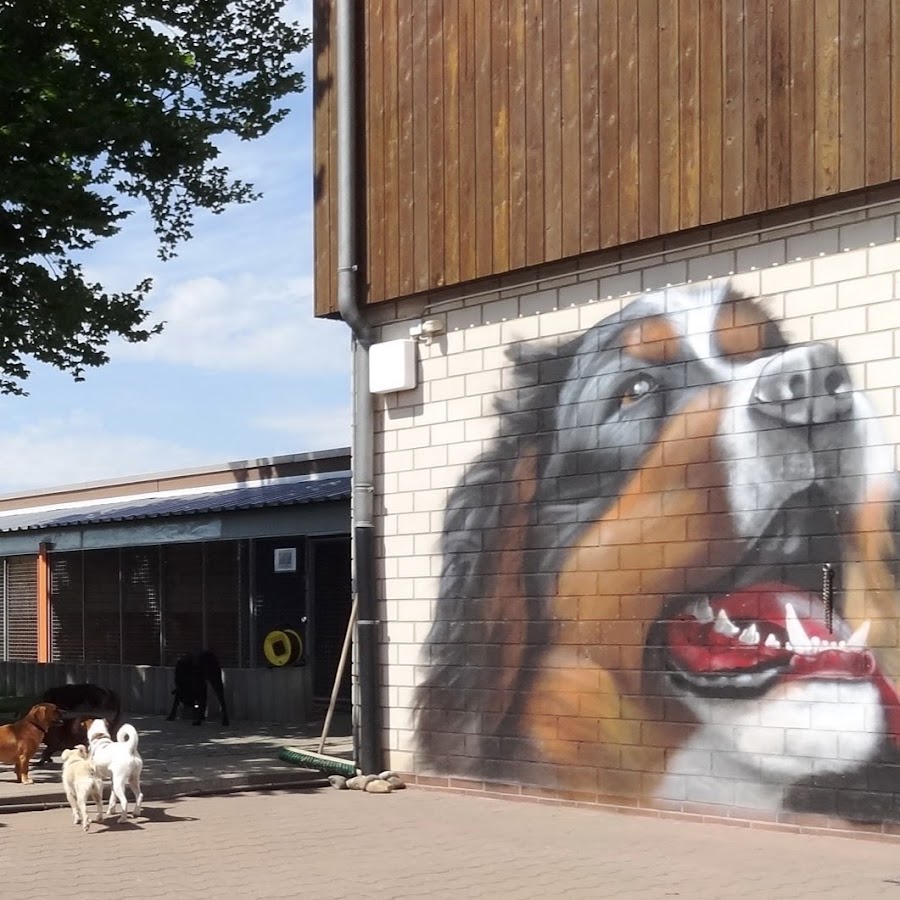 Tierschutzverein Offenbach e.V. - YouTube