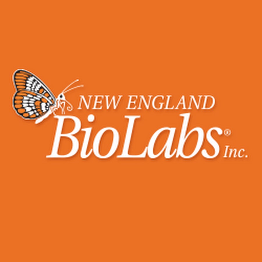 New England Biolabs YouTube