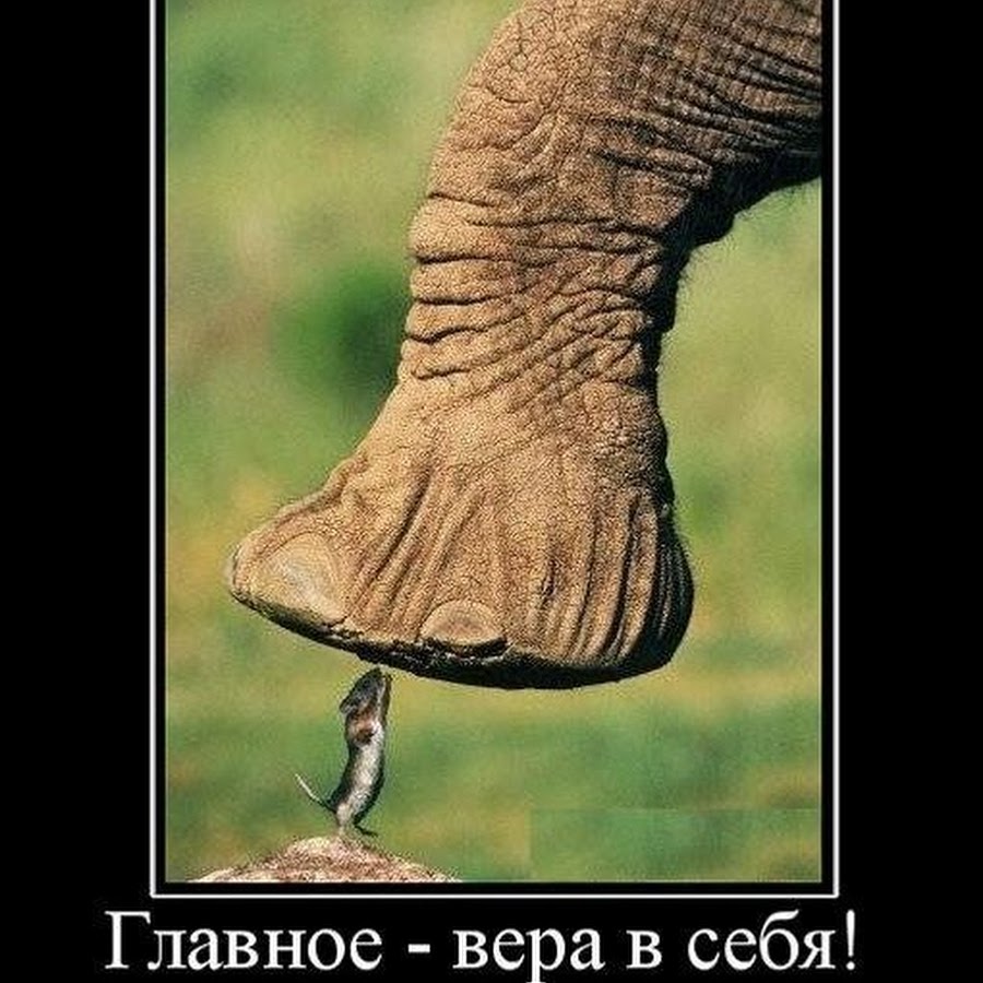 Вера в себя пример из жизни