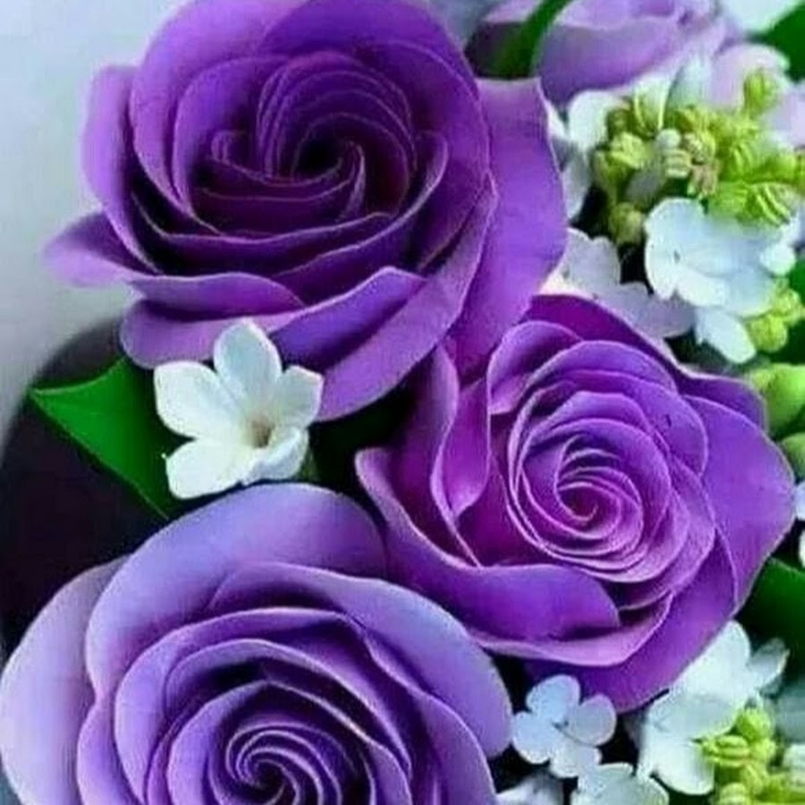 Lavender Roses - YouTube