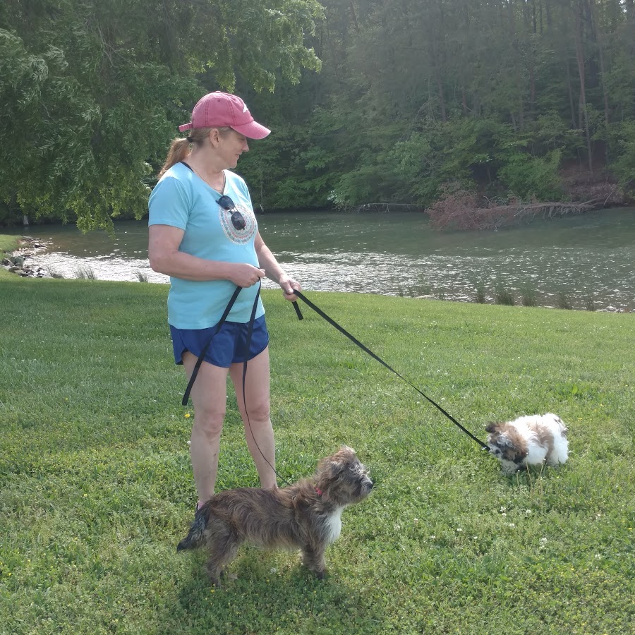 Julie's Puppies Quail Hollow Farm and Kennel YouTube