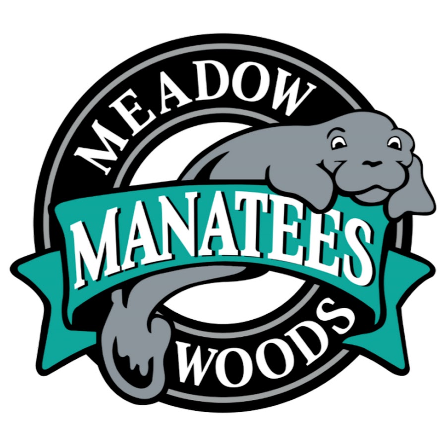 Meadow Woods Elementary YouTube
