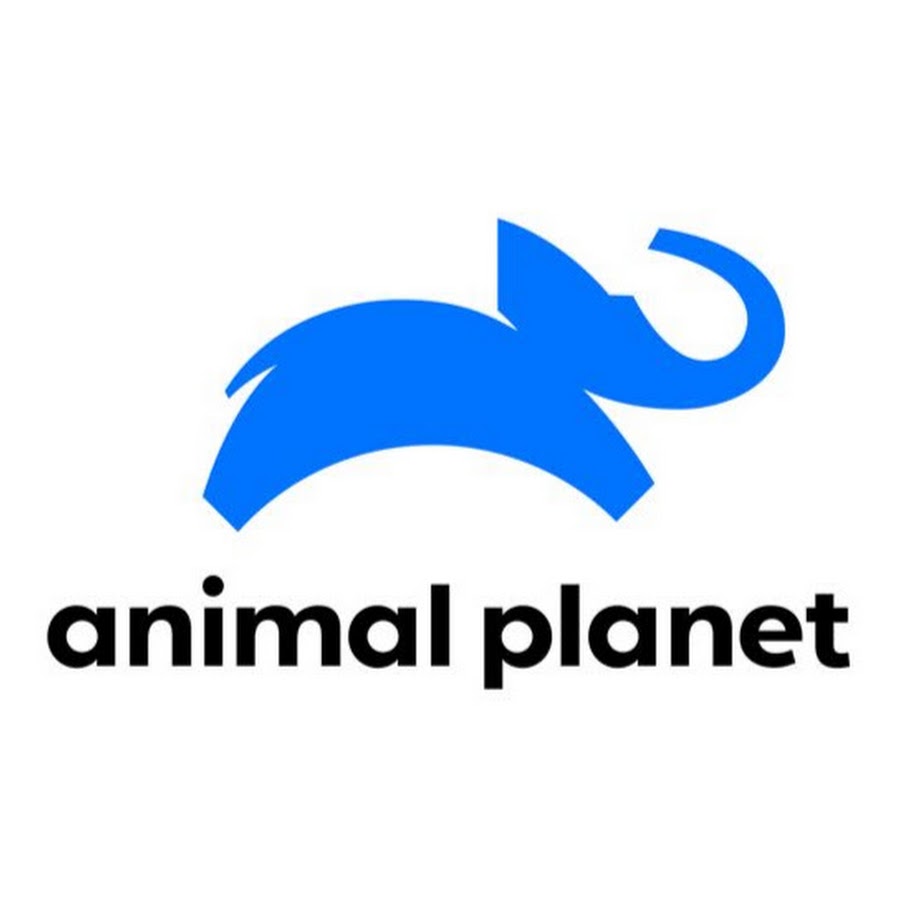 Animal Planet UK 