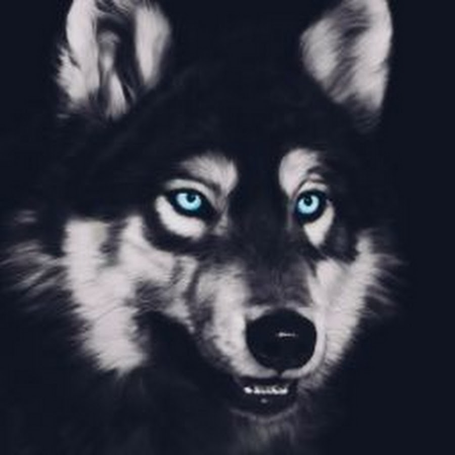 Silver Wolf - YouTube