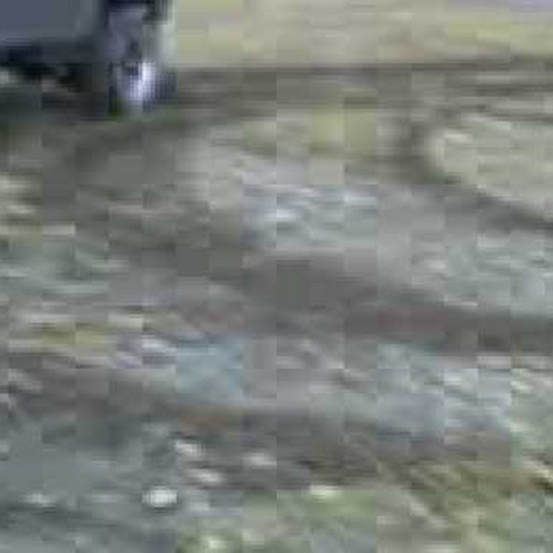 Bhatti Sahab on YouTube