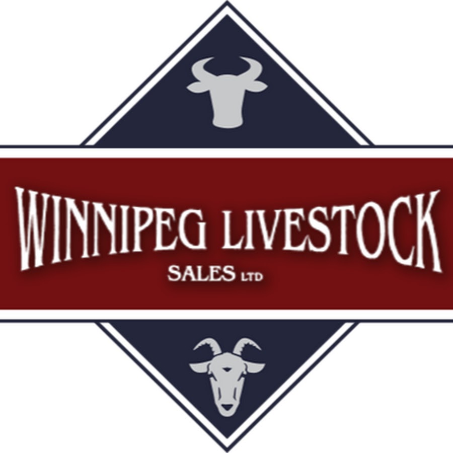 Winnipeg Livestock Sales Ltd. YouTube