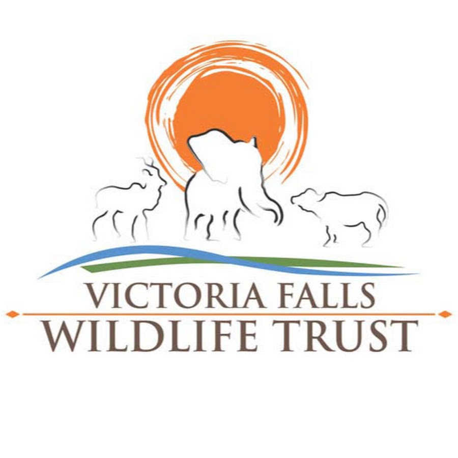 victoria-falls-wildlife-trust-youtube