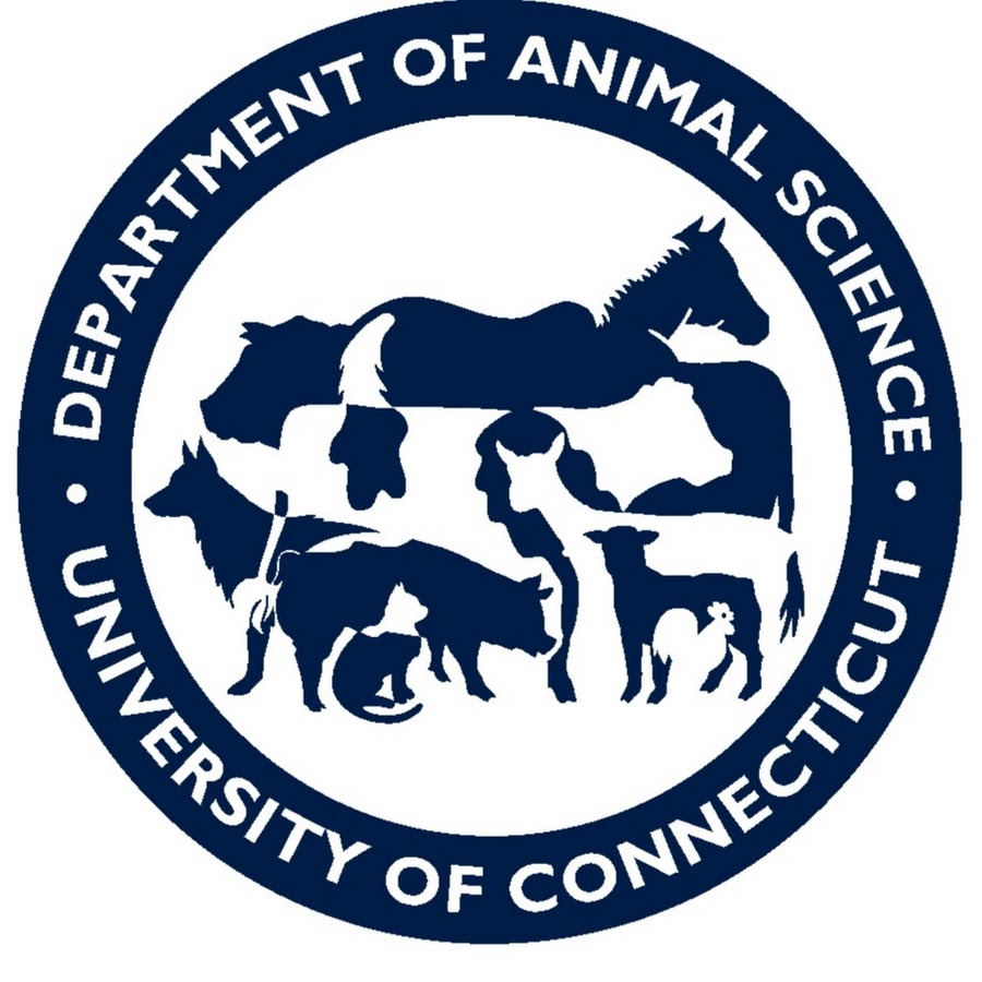 UConn Department of Animal Science YouTube