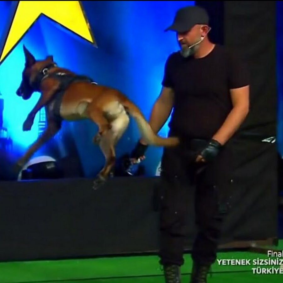 ANTALYA KÖPEK EĞİTİM MERKEZİ YouTube