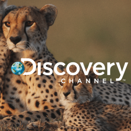 Animals Video Discovery Channel