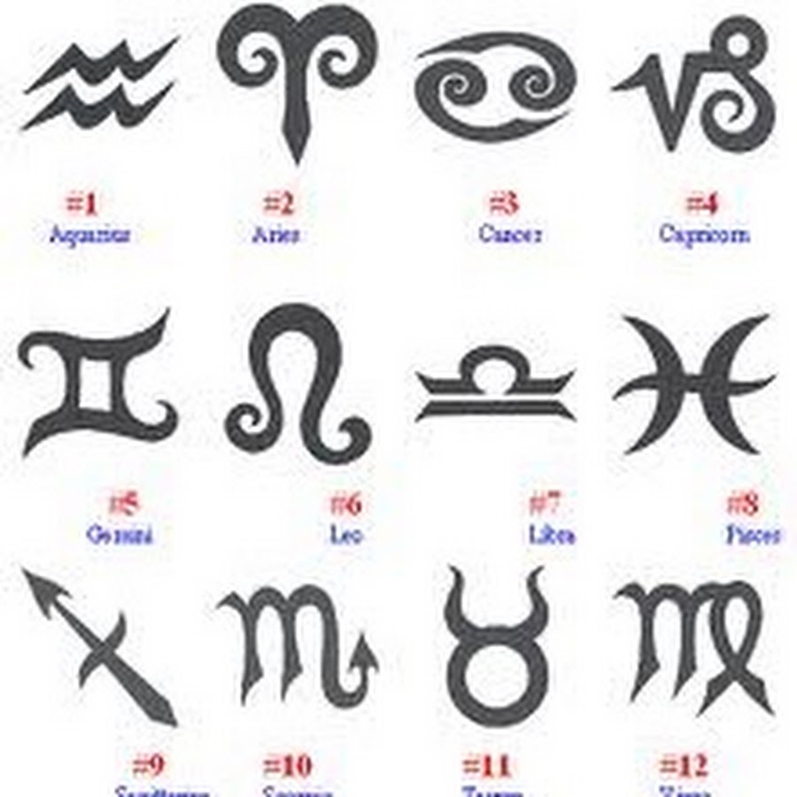Тату зодиаков. Тату знаки зодиака. Тату иероглифы знаки зодиака. Маленькие тату знаки зодиака. Знаки зодиака обозначения символы.