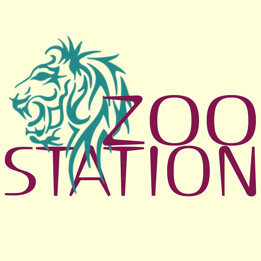 Е Zoo By Интернет Магазин