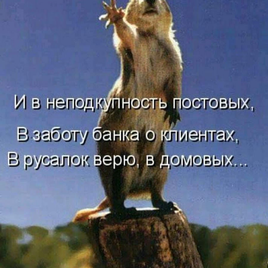 Суслик мемы