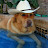 Cowboy Doggy avatar