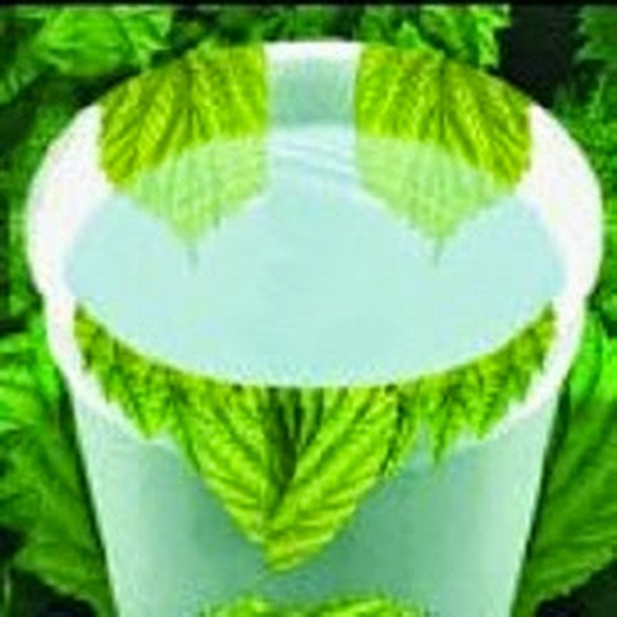 Green Plastics YouTube