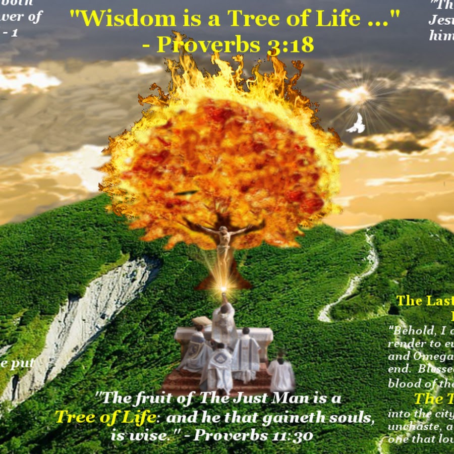 Tree Of Life Revelation Images and Photos finder