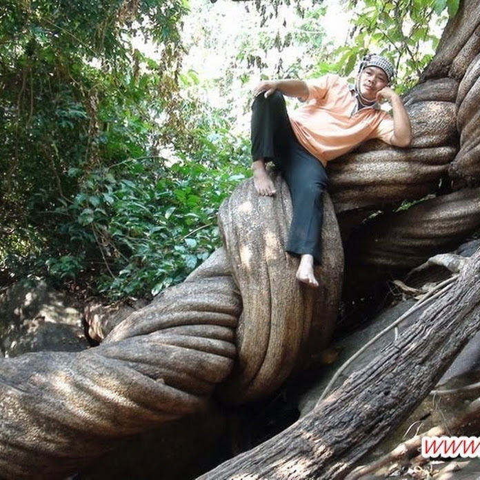 วิเชียร สังโวลี Net Worth & Earnings (2026)