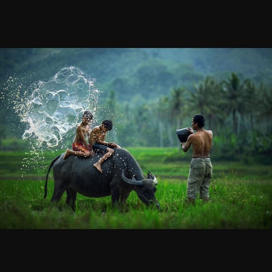 Деревня пхонг нам вьетнам. Обои вьетнам деревня. Детские рисунки эстетики летом мини рисунки. Tho bay mau anh dep. Thơ tiếng việt.