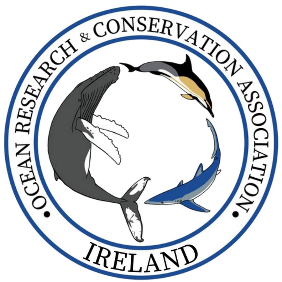 Ocean Research & Conservation - YouTube