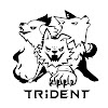 TRiDENT ex�����륺���å��Х�ɳ�̿ YouTube