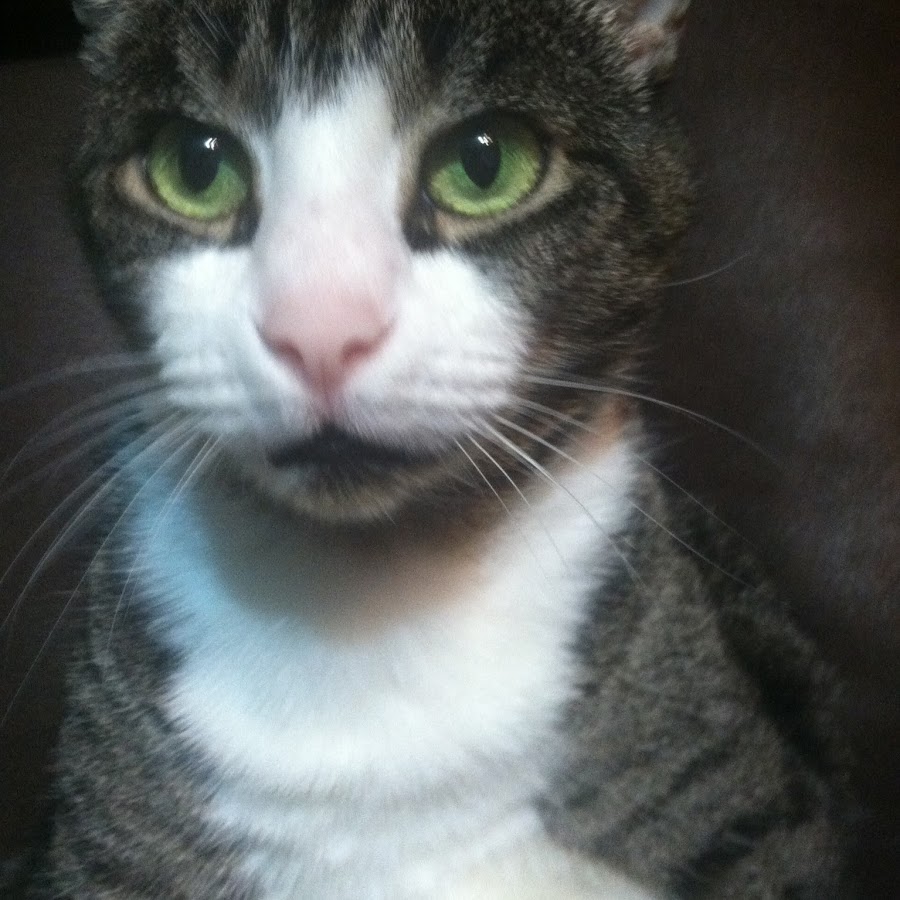 sate experiments - YouTube