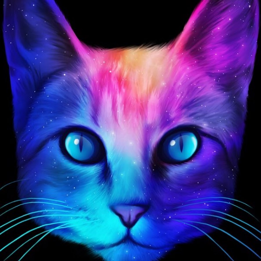 Galaxy Cat YouTube