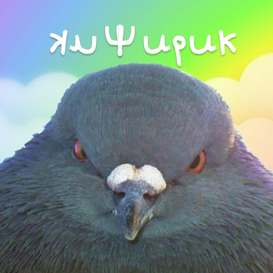 Чирик машина это