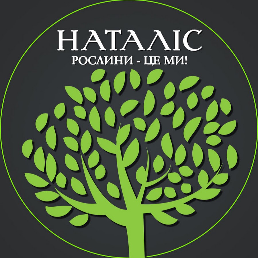 Наталис лайф. Sims 3 ожерелье. Украшения симс. Бриллиантовое колье симс 3. Наталис стешенко.