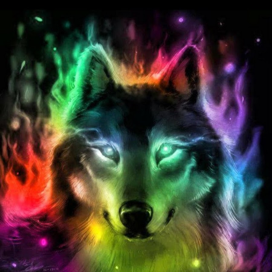 Rainbow_ firewolf - YouTube