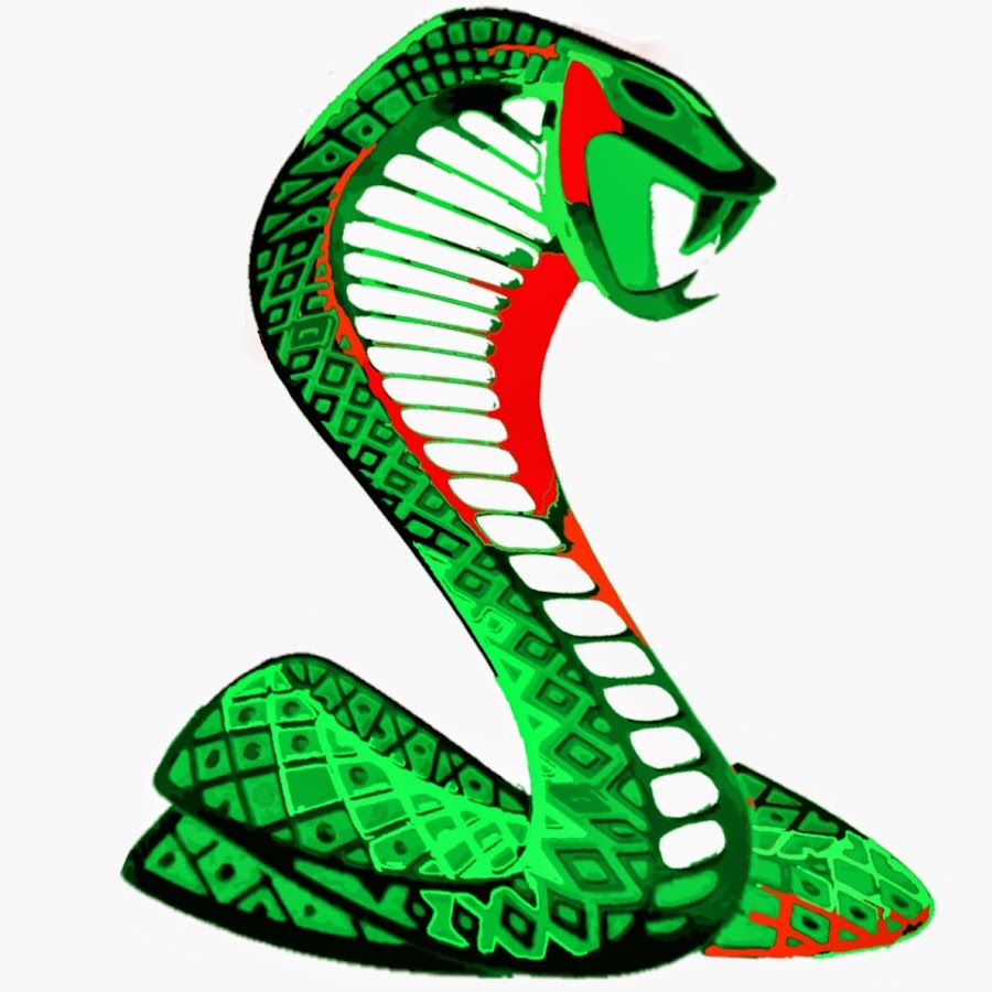 SNAKE DΞLTA - YouTube
 Sea Serpent Logo