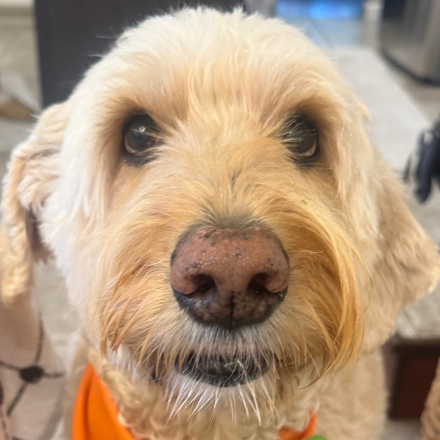 A Random Person - YouTube