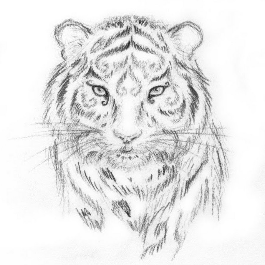 Мини тату тигр эскиз
