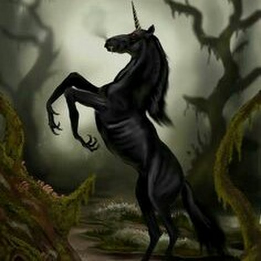 Dark Unicorn 