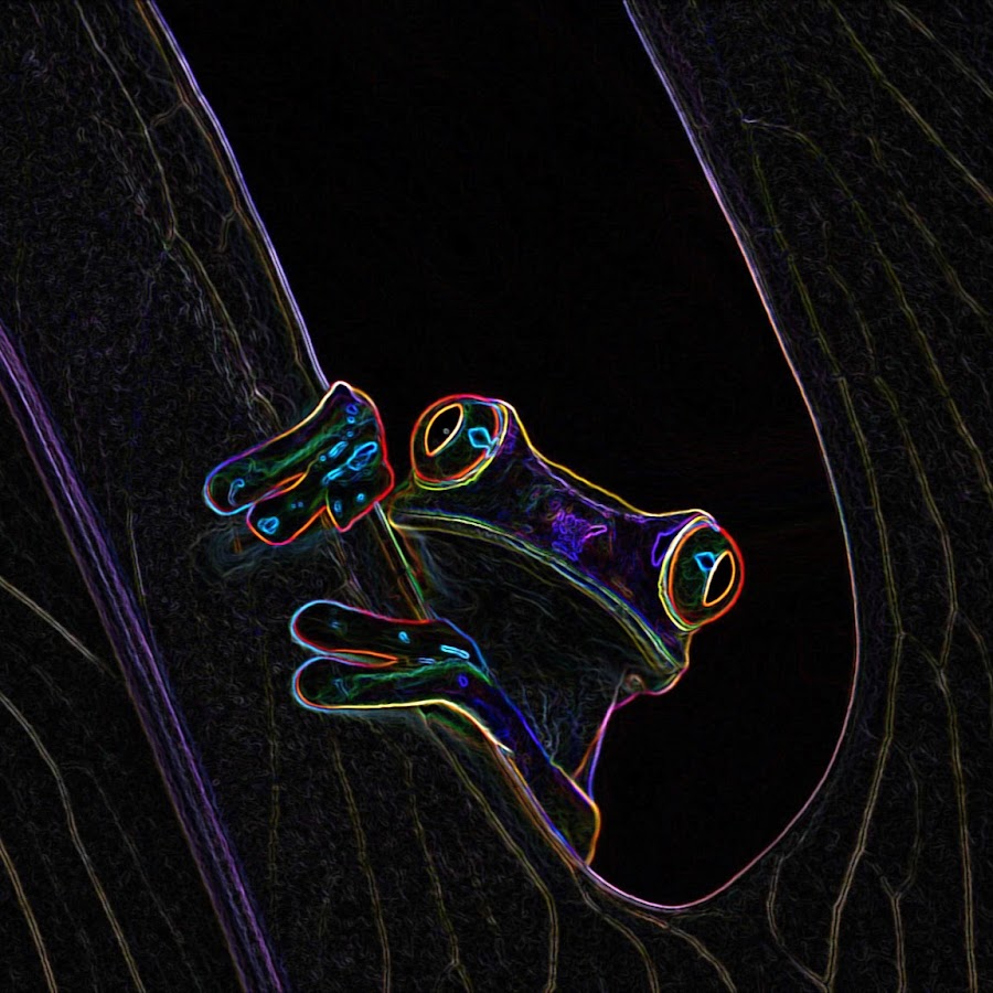 Just Another Youtube Account - YouTube