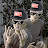 xXPsilocybinXx avatar