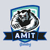 What could AMIT GAMING buy with $694.64 thousand?